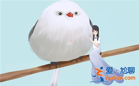 你會和單親家庭的孩子戀愛嗎