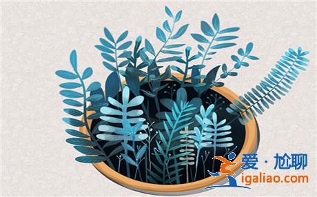 心態(tài)fm：世界和我愛著你