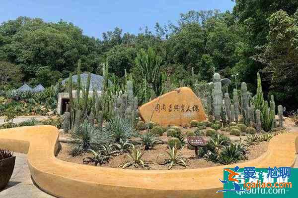 受疫情影響深圳仙湖植物園1月7？