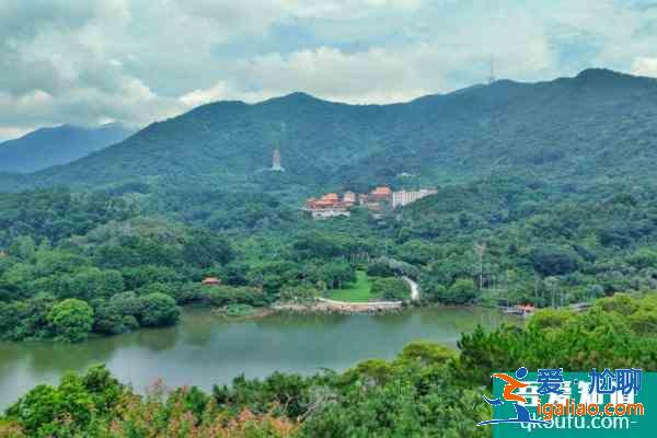 受疫情影響深圳仙湖植物園1月7？