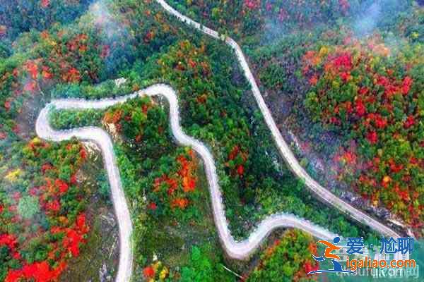 河南五條最美自駕公路？
