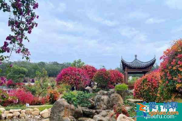 2022廣州馬嶺觀花植物園春節(jié)開放嗎？