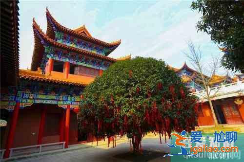 安徽巢湖十大景點(diǎn)推薦 巢湖景點(diǎn)有哪些？