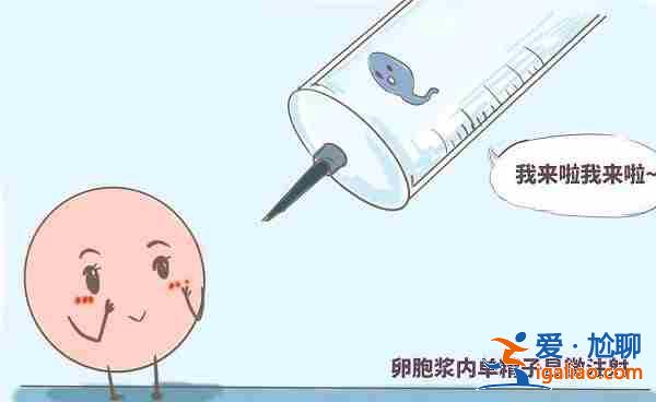 解讀一下選代媽？