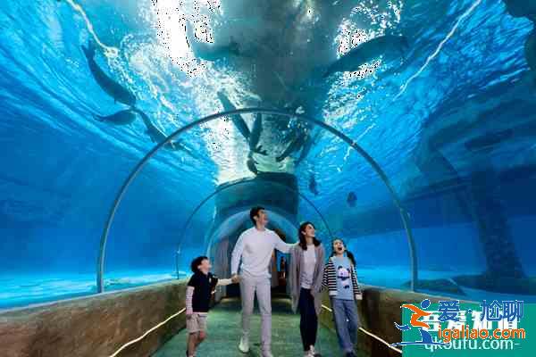 2022受疫情影響香港海洋公園暫停對(duì)外開放？