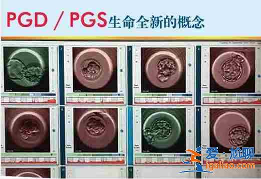 廈門代生孩子包成功,院長首薦？
