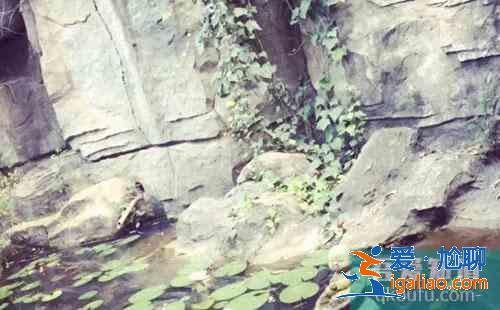 中國青年旅社排行榜 國內(nèi)有名的青年旅社？