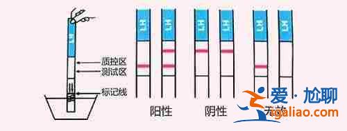 石家莊代生寶寶_上萬成功案例？
