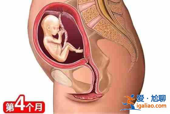 青島貴賓助孕[ 定制套餐 ]？