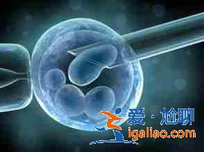 介紹長沙助孕公司排名（包成功零風(fēng)險）？