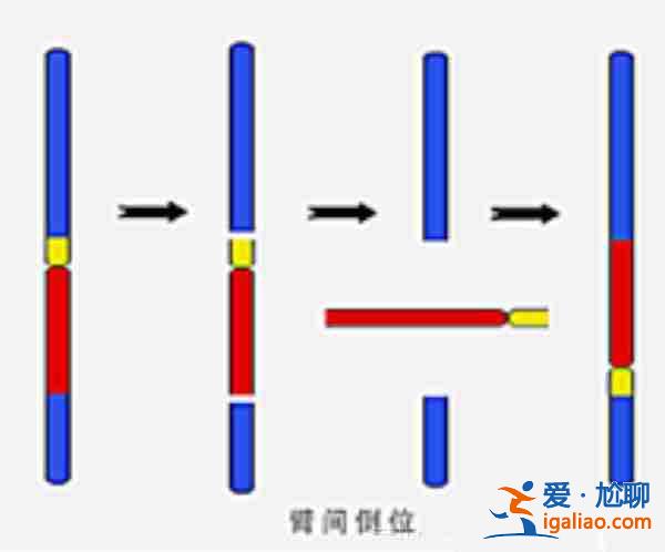 試管借卵人工授精選性別包成功，隨時(shí)隨地關(guān)注寶寶快樂(lè)成長(zhǎng)？