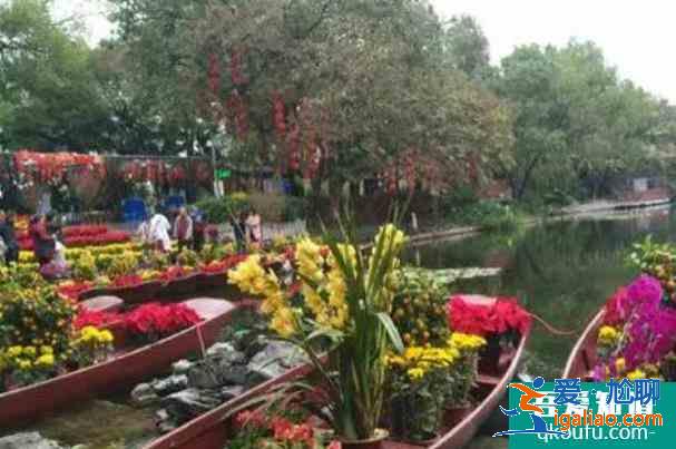 2022廣州花市什么時候開始 有哪幾個地方舉辦？
