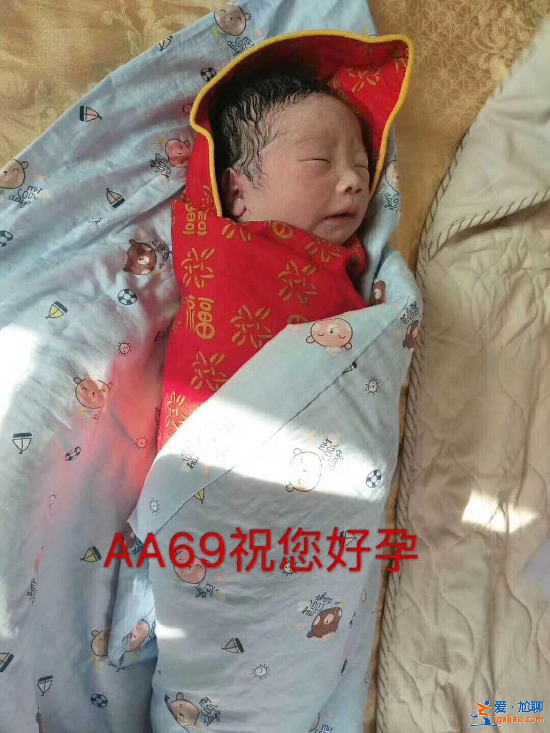 代媽年齡移植影響-是不是真的值得信賴？