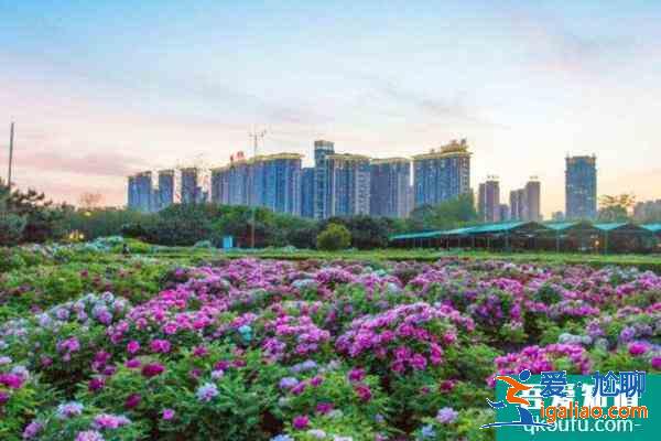 2022受疫情影響洛陽隋唐城遺址植物園臨時(shí)閉園公告？