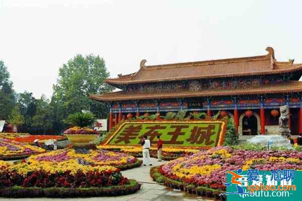2022受疫情影響洛陽多個公園1月6日起臨時閉園？
