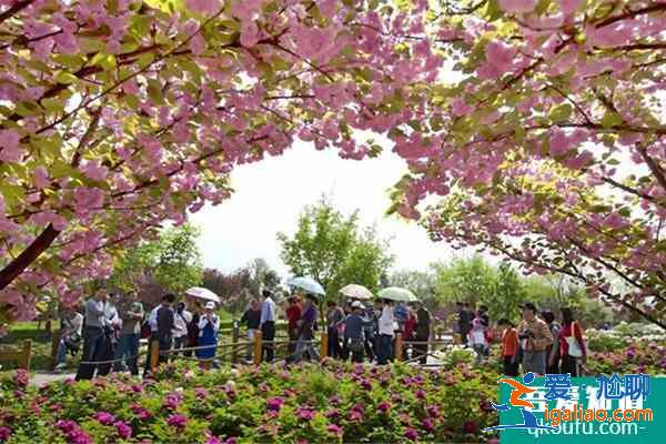 2022洛陽受疫情影響中國國花園臨時閉園？