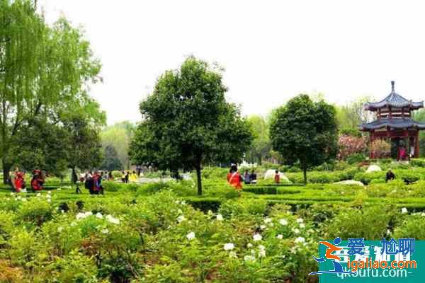 2022受疫情影響洛陽多個公園1月6日起臨時閉園？