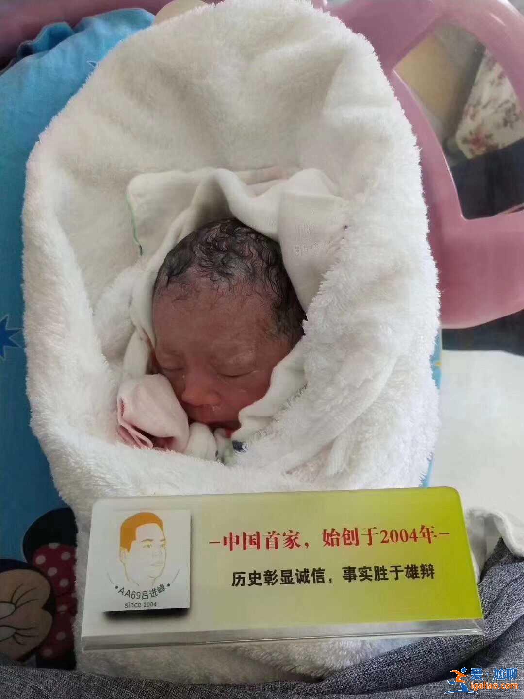 助孕醫(yī)療公司？