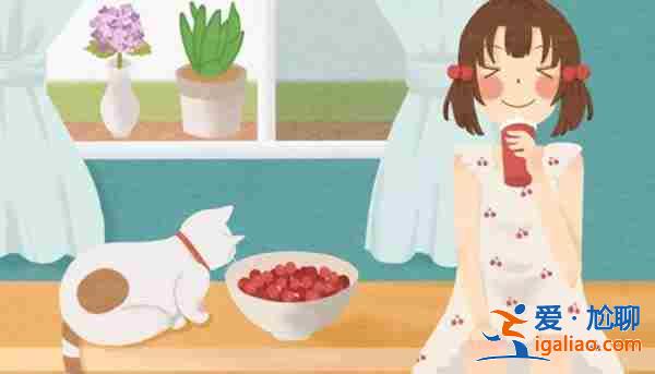 包生男孩公司哪家最好「全程陪護(hù)」？