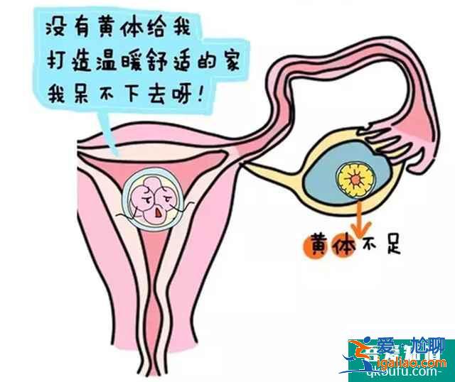 試管嬰兒移植后黃體支持還需多久？？
