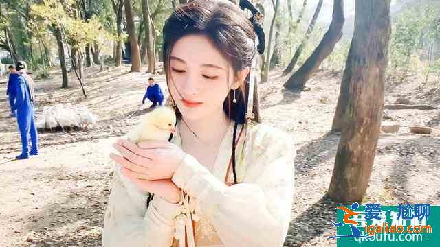 《如意芳霏》劇照曝光！回顧蕓汐傳中古裝女神，鞠婧祎確實(shí)神顏？