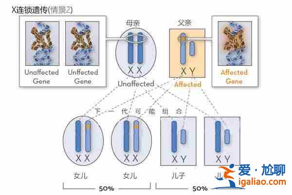 廣州有哪些助孕公司「上萬成功案例」？