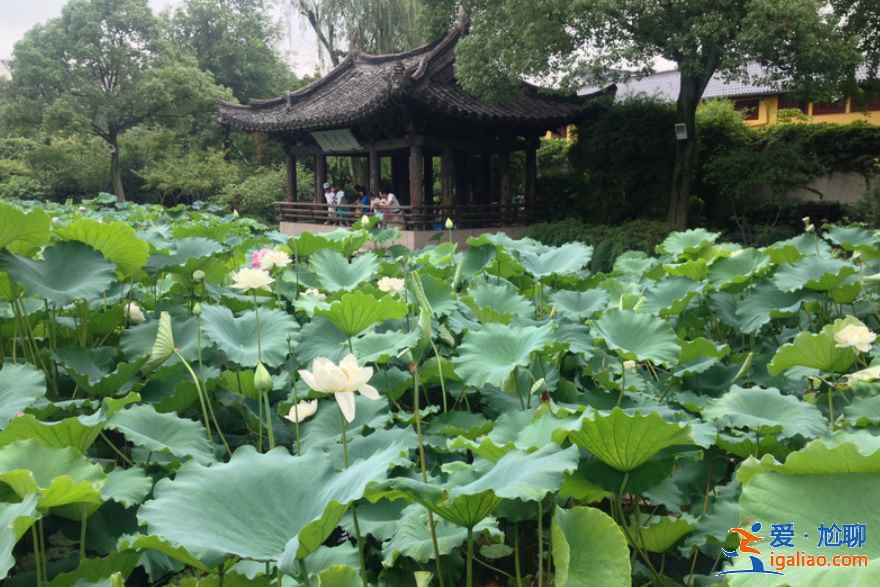 【紹興旅游】紹興免費(fèi)公園大全（附：游覽線路、交通指南）？
