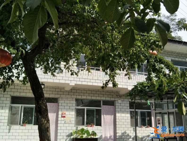 白石山住宿哪里好，白石山農(nóng)家院推薦，白石山住宿攻略？