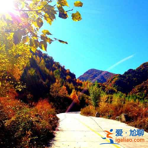 【京郊游】京郊游好去處，京郊游推薦TOP10？