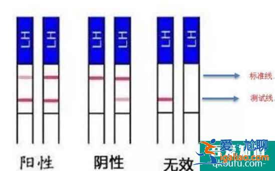 排卵試紙強(qiáng)陽(yáng)代表什么？？