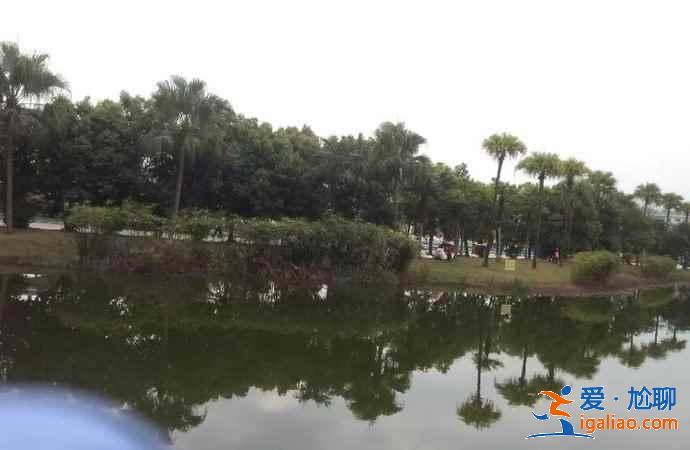 中國死海在哪里,中國死海旅游攻略? 中國死海在哪里,中國死海旅游攻略?