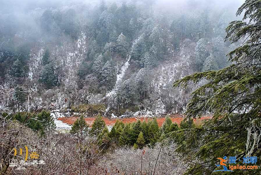 海螺溝在哪，海螺溝在哪個(gè)市，海螺溝怎么去？