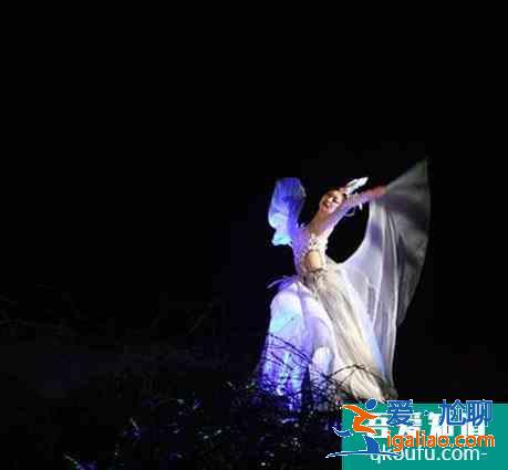黃鶴樓夜游櫻花版對全國醫(yī)護人員免費？