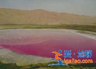 額濟(jì)納旗有什么好玩的地方,額濟(jì)納旗必去景點(diǎn)? 額濟(jì)納旗有什么好玩的地方,額濟(jì)納旗必去景點(diǎn)?