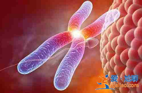 南京代懷生寶寶_aa69助孕中心為您圓夢助孕？