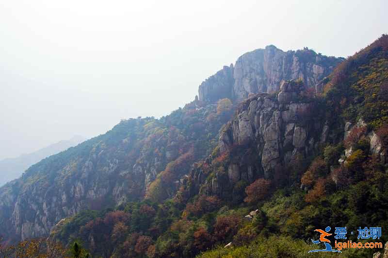 去泰山旅游住哪好，泰山山頂住宿多少錢？