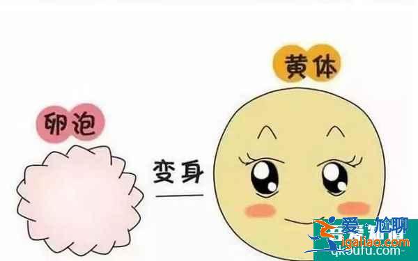 試管嬰兒過程痛苦嗎?？