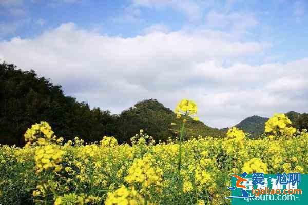 2021廣州從化石門森林公園游玩攻略 從化石門森林公園交通及住宿？