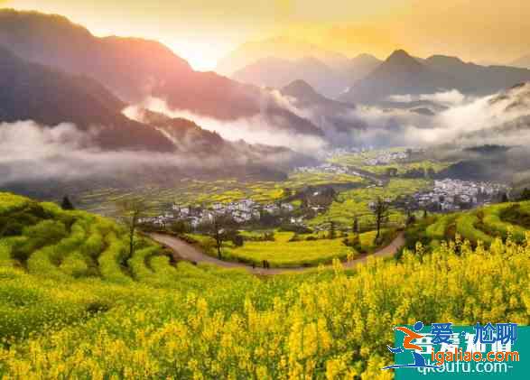 江嶺油菜花幾月開(kāi) 2021江嶺賞油菜花活動(dòng)詳情？