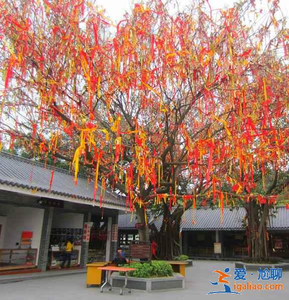 7座城市附近易爬山峰，城市里人的福利？
