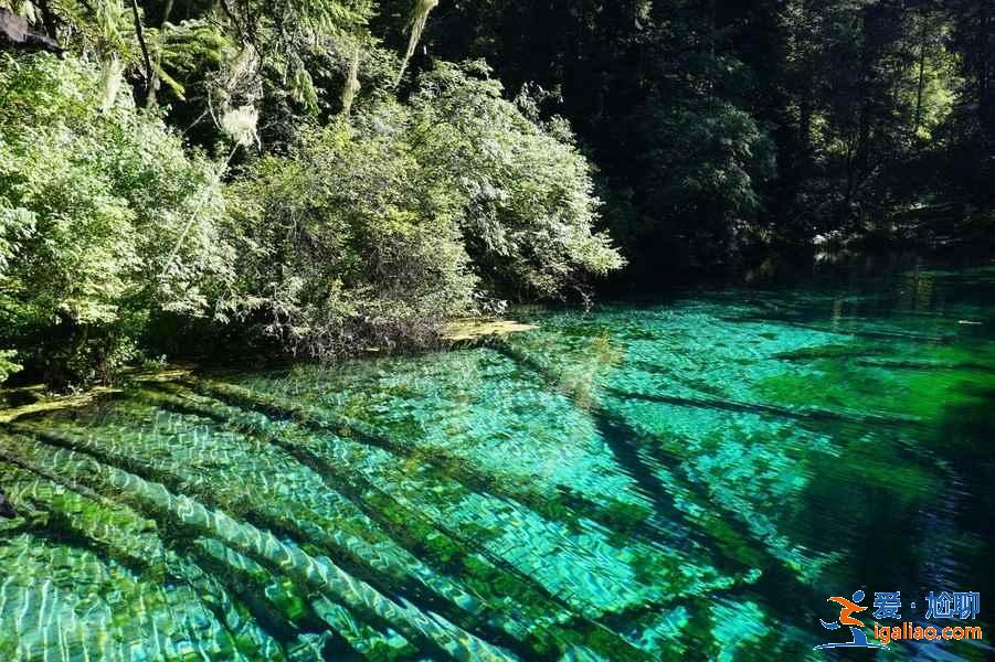 牟尼溝在哪里,牟尼溝風(fēng)景區(qū)地理位置? 牟尼溝在哪里,牟尼溝風(fēng)景區(qū)地理位置?