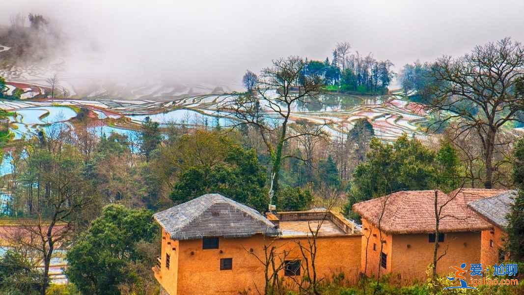 元陽最佳旅游時間，元陽幾月風(fēng)景最美？