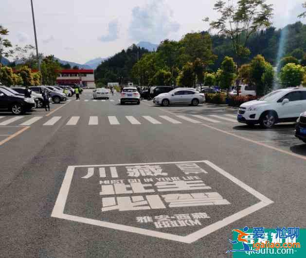 成都到拉薩318自駕游攻略？