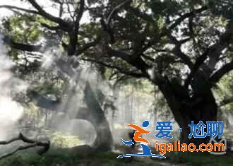 國內(nèi)夏季最佳十大旅行目的地，避暑美景可兼得??？