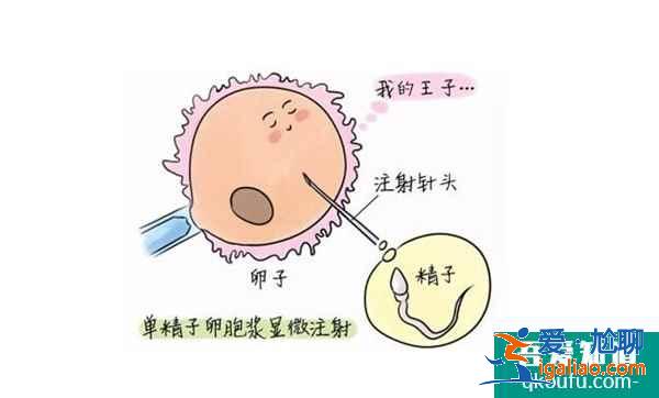 身體正常想要男孩能做試管嗎?？
