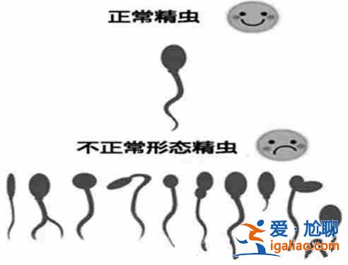 長春代懷代生孕，懷孕第十個月知識大全？