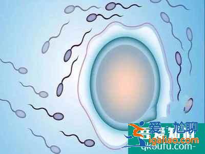 試管前期檢查項(xiàng)目明細(xì)？