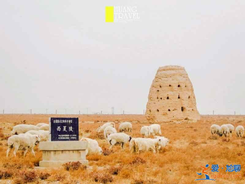 西夏王陵門票多少錢，西夏王陵門票價格？