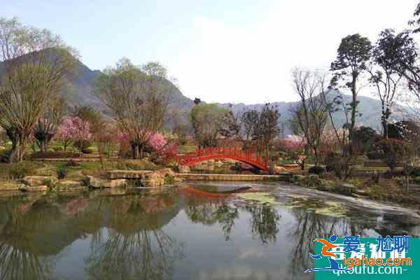 2021貴州春天旅游去哪好 春天賞花好去處？
