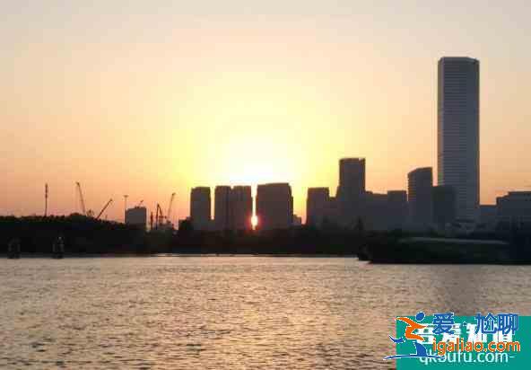 徐匯濱江后灘公園旅游路線？